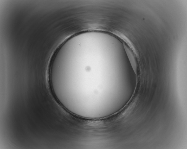 X0000089681285200707201652