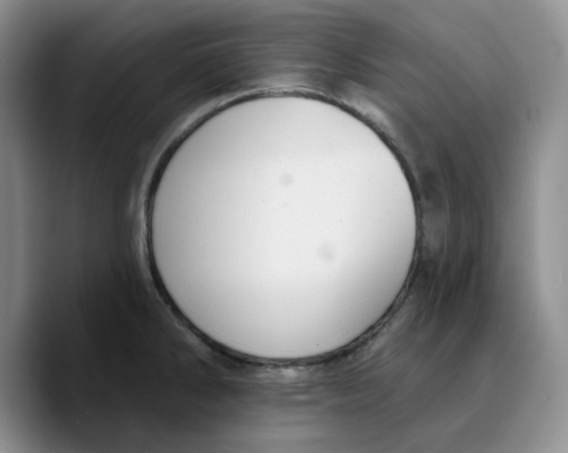 X0000089681286200707201652