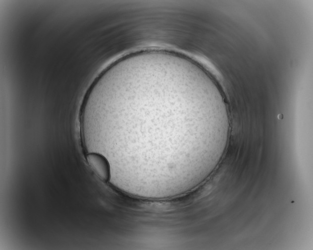 X0000089681287200707201652