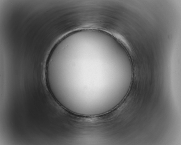 X0000089681288200707201652