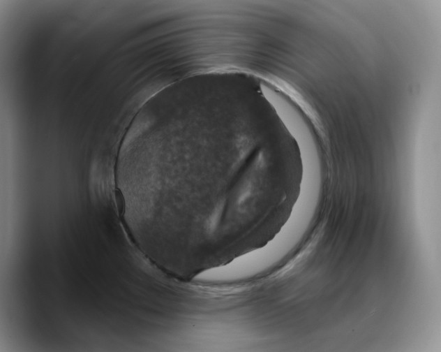 X0000089681289200707201652