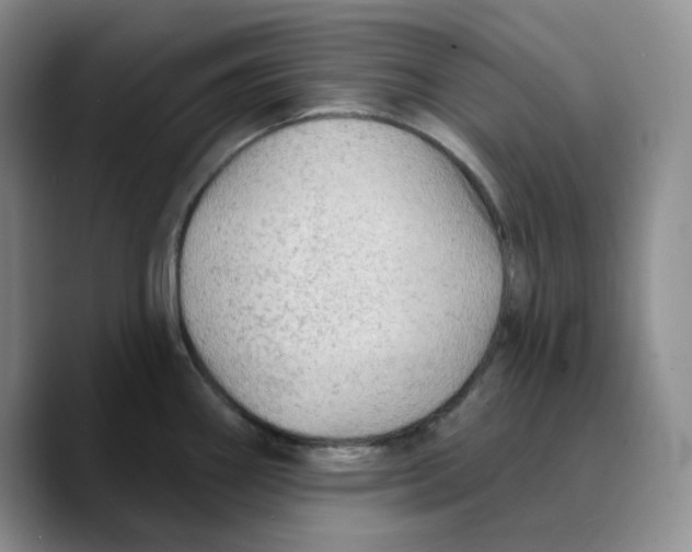 X0000089681290200707201652