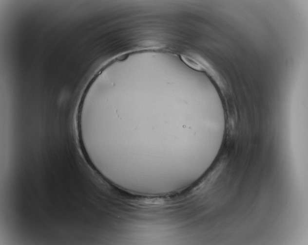 X0000089681291200707201652