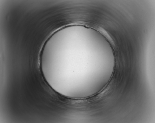 X0000089681292200707201652