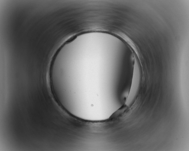 X0000089681293200707201652