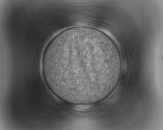 X0000089681294200707201652