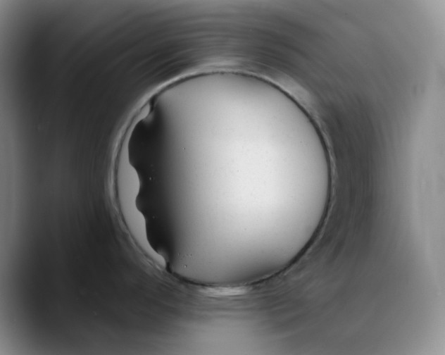 X0000089681296200707201652