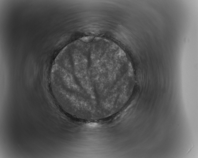 X0000089681297200707201651