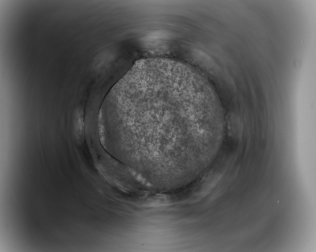 X0000089681298200707201651