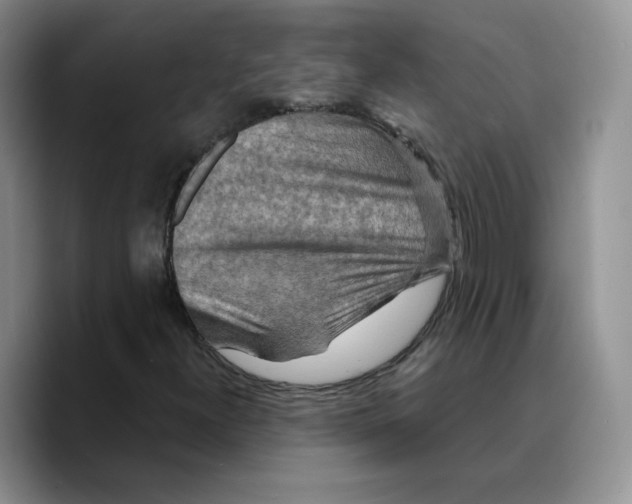 X0000089681300200707201651