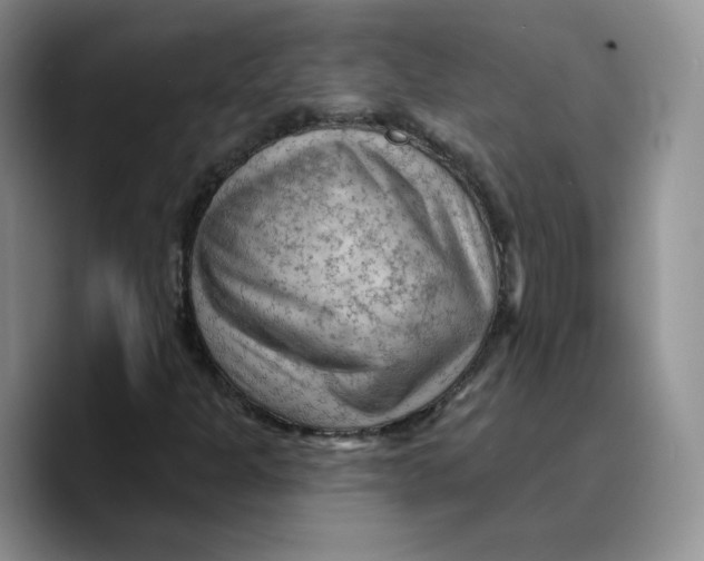 X0000089681301200707201652