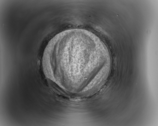 X0000089681302200707201652