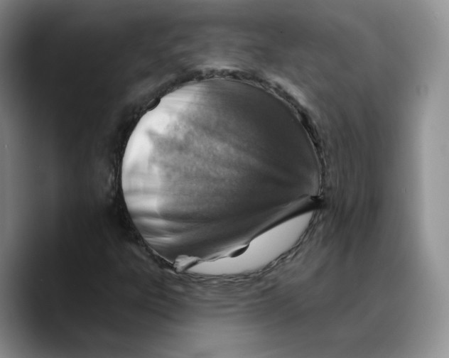 X0000089681303200707201652