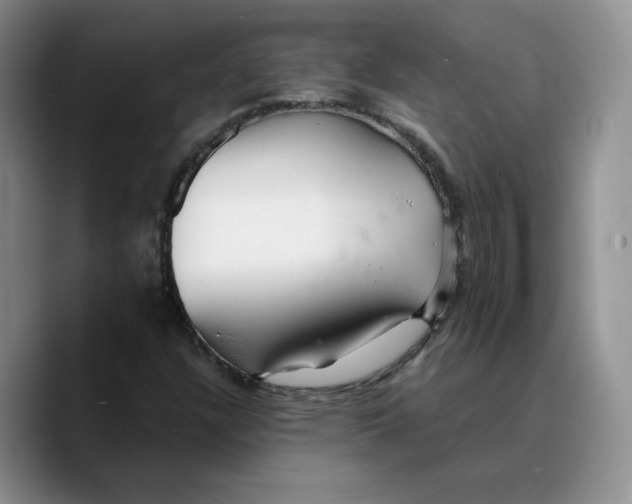 X0000089681304200707201652