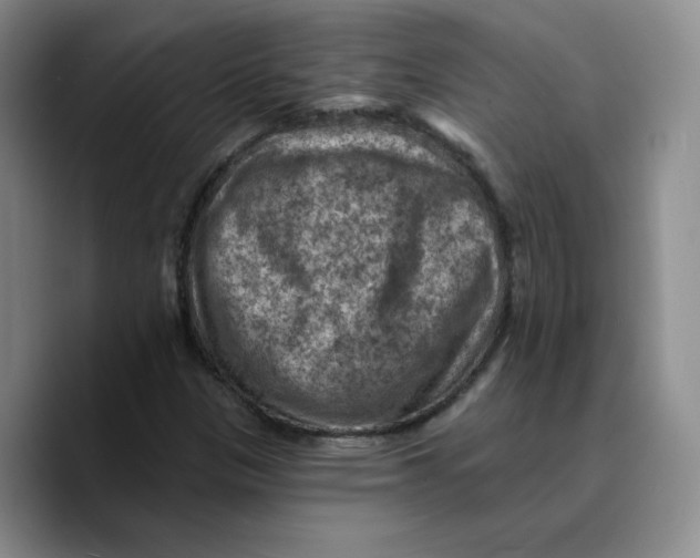 X0000089681305200707201652