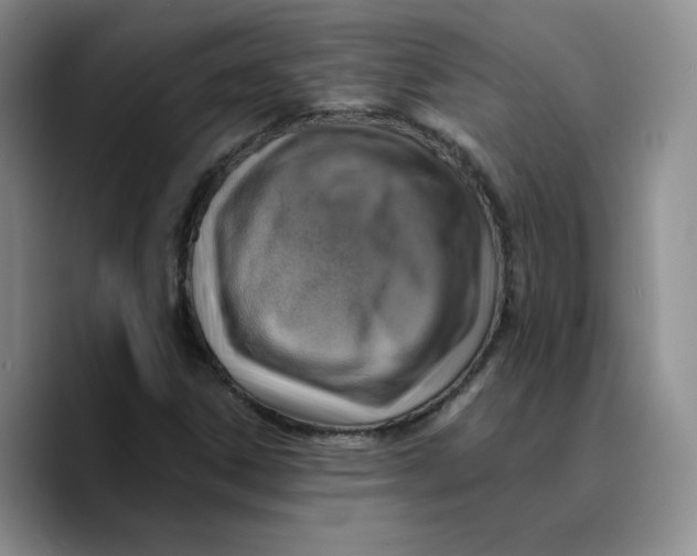 X0000089681306200707201652