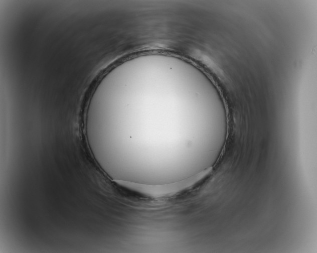 X0000089681308200707201652