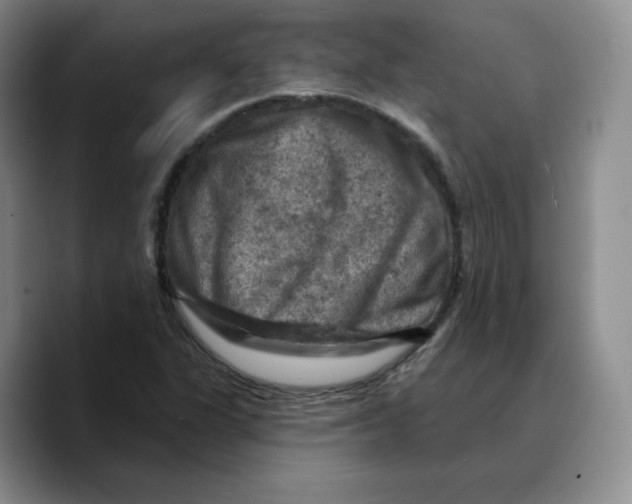 X0000089681311200707201652