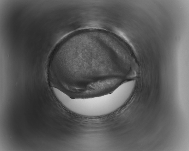 X0000089681312200707201652