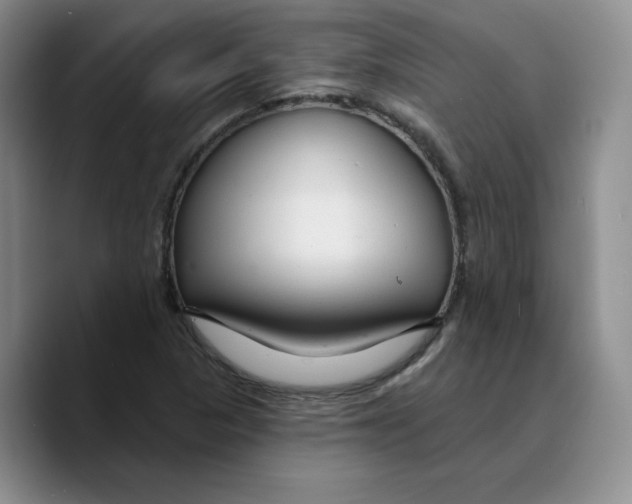 X0000089681313200707201652