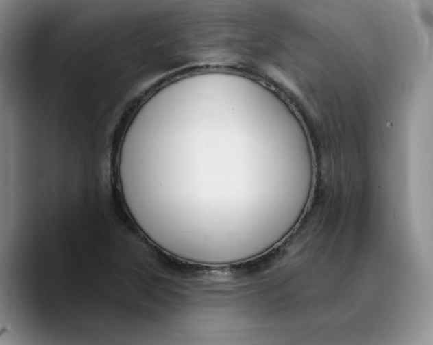 X0000089681315200707201652