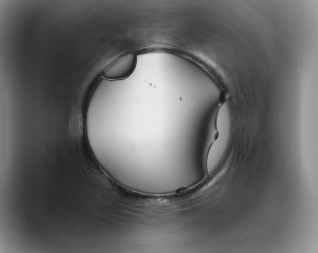 X0000089681317200707201652