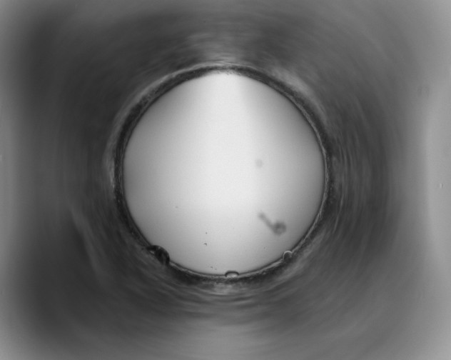 X0000089681318200707201652