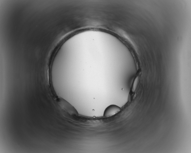 X0000089681320200707201652