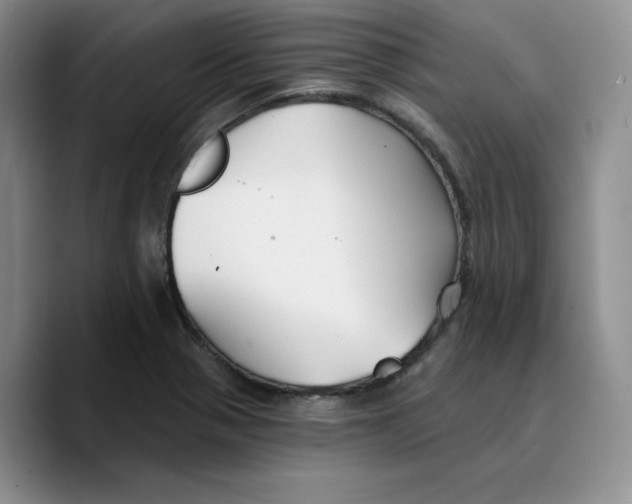 X0000089681321200707201652