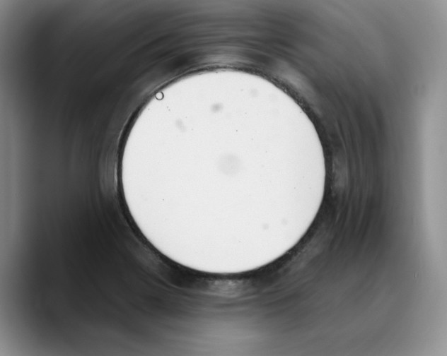 X0000089681322200707201652