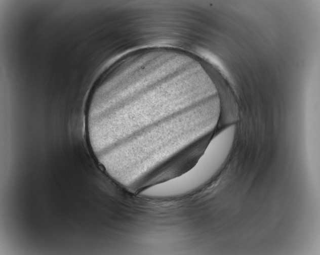 X0000089681324200707201652