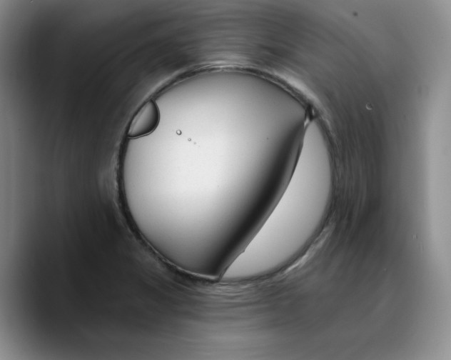 X0000089681325200707201652