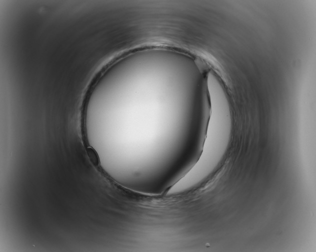 X0000089681326200707201652