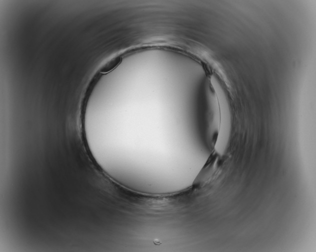 X0000089681328200707201652