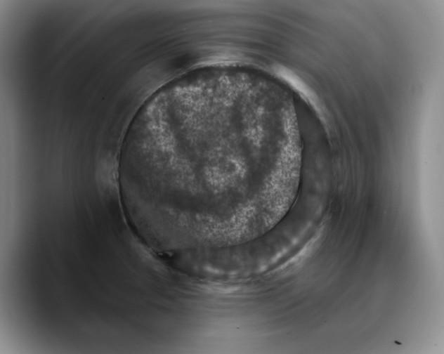 X0000089681329200707201652