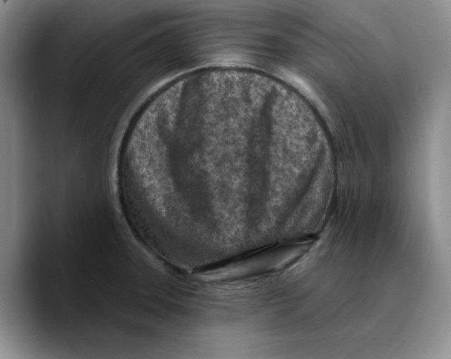 X0000089681331200707201652