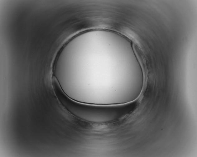 X0000089681332200707201652