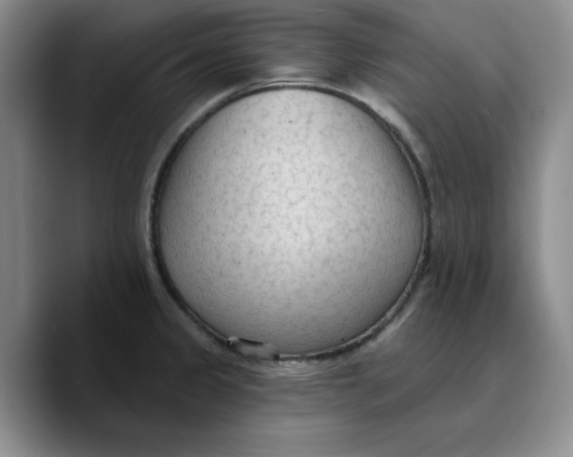 X0000089681333200707201652