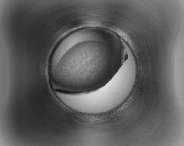 X0000089681334200707201652