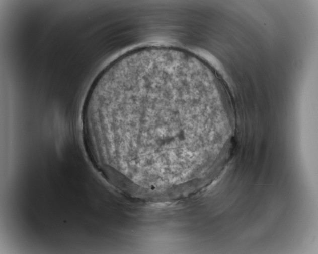 X0000089681335200707201652