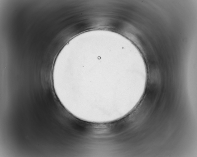 X0000089681338200707201652