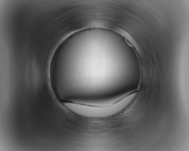 X0000089681339200707201652