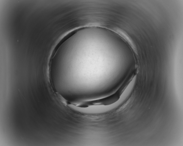 X0000089681340200707201652