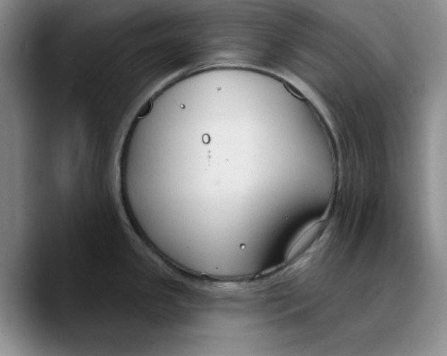 X0000089681341200707201652