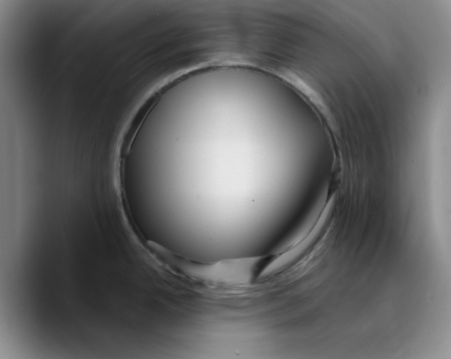 X0000089681342200707201652