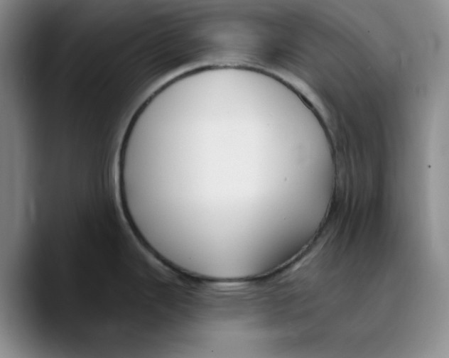 X0000089681343200707201652