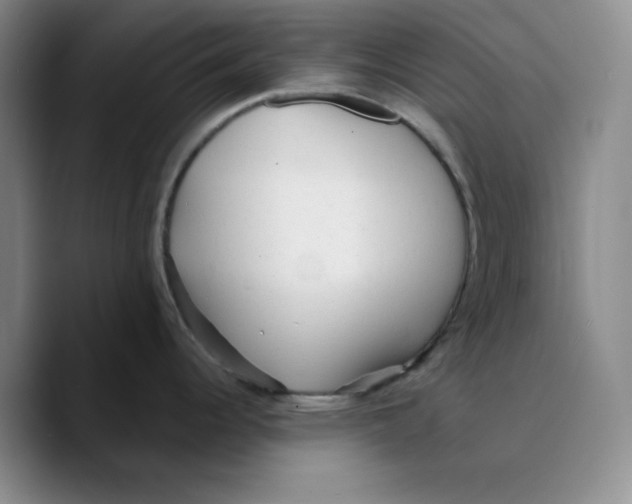 X0000089681344200707201652