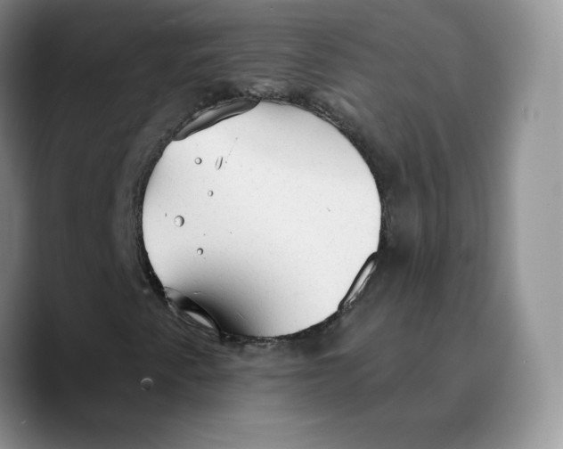 X0000089681345200707201651