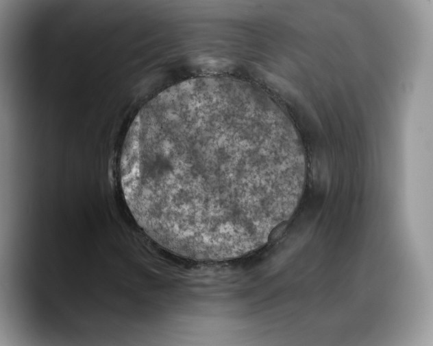 X0000089681346200707201651