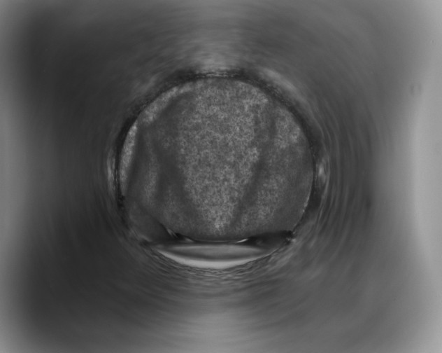 X0000089681348200707201651